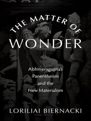 cover image of The Matter of Wonder